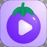 Aplicativo de vídeo Guava para download do site gratuito da API