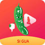 Douyin cereja bucha verde pepino gigante ios versão gratuita