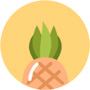 Big Pineapple App Fu orienta você para sites ilimitados