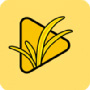 Morango sujo, maçã, banana, lichia e bucha no iOS: um artefato que permite assistir gratuitamente todos os vídeos da internet